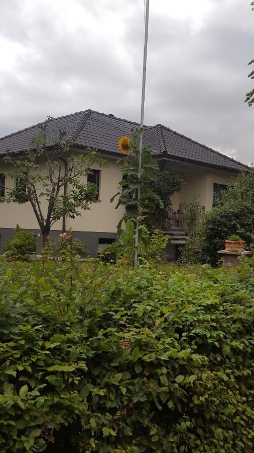 Ferienwohnung "Am Fechtertor- Eingang Zum Schlosspark" Putbus Bagian luar foto